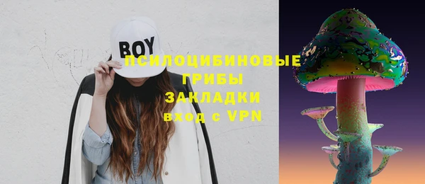 шишки Зерноград
