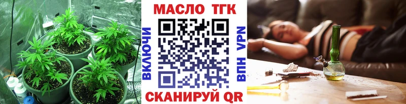 Купить где  Камень-на-Оби  Дистиллят ТГК гашишное масло 