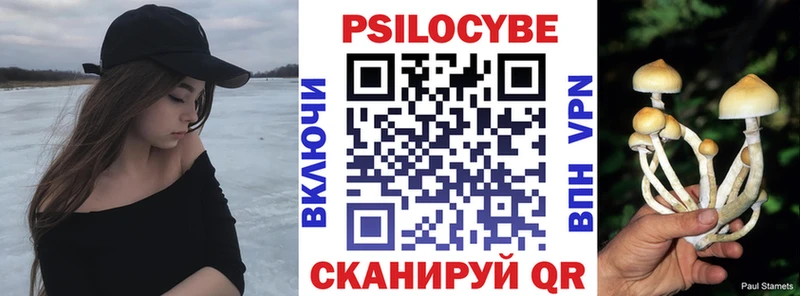 Купить  Камень-на-Оби  Галлюциногенные грибы мицелий 